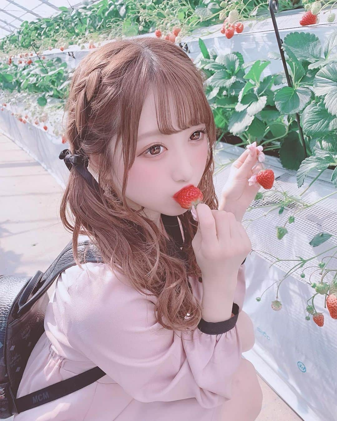 田口未彩さんのインスタグラム写真 - (田口未彩Instagram)「🎀 . . イチゴ狩り行ってきた〜🍓 何個食べたんだろ🥺おいしかった！ . 越谷レイクタウンのめちゃ近くにある、 いちごタウンってとこ🎀🎀 . . #いちごタウン　#越谷いちごタウン　#いちご狩り　#いちご　#ロジータ　#ツインテール　#編み込みツインテール　#ヘアアレンジ　#量産型女子　#量産型コーデ　#ワンピース　#量産型　#リボンアレンジ　#MCM  #mcmリュック #地雷　#地雷女　#メイク　#量産型メイク #たれ目メイク　#イチゴタウン　#越谷イチゴタウン　#隠しきれないヲタク  #隠しきれないオタク」2月18日 22時14分 - miiro_taguchi