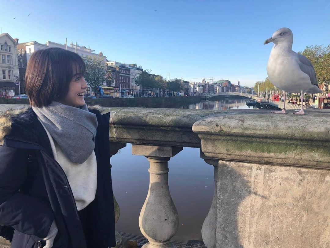 宮司愛海さんのインスタグラム写真 - (宮司愛海Instagram)「アイルランド・ダブリン編🇮🇪 ずいぶん間が空いてしまったので今更感満載ですが、自己満足で最後まで頑張ります〜笑 . 北アイルランド・ベルファストからは再びバスに乗って、アイルランドの首都ダブリンへ。 向かうはトリニティカレッジの図書館！ 映画スターウォーズ「ジェダイ・アーカイブ」のモデルといわれる場所です。 階段を上がっていくとそこはもう異空間... まるで中世の時代に迷い込んだような不思議な感覚で、荘厳さに圧倒されました。 こうして観光客に開放されていますが、もちろん学生さんたちも利用しているそうです。 (本の探し方も書いてありました) . そのあとはギネスビールの工場やパブを巡り(今度はお酒編、また更新します)、夜はこの旅のお目当てへ...！ . それは「ケルト音楽」！ 中学時代に部活でケルト民謡に触れてからずっと生で、現地で聴きたいという想いを持っていたんです。 カジュアルなスタイルではありましたが、、やっぱり生で聴く音楽は格別。中学時代に演奏したことのある曲を聴けた瞬間には鳥肌が立ち、涙が出てしまいましたー😭 . ダブリンは静かすぎず、でもあたたかみのあるちょうどいい街でした... 次はあたたかい時期にリベンジ！(予定) . #ダブリン #トリニティカレッジ #ケルト音楽 #ケルト民謡 #どこの国から来たか聞かれて #JAPANで元気よく返事 #yeahやめえ #旅の恥はかき捨て」2月18日 22時16分 - manami_miyaji