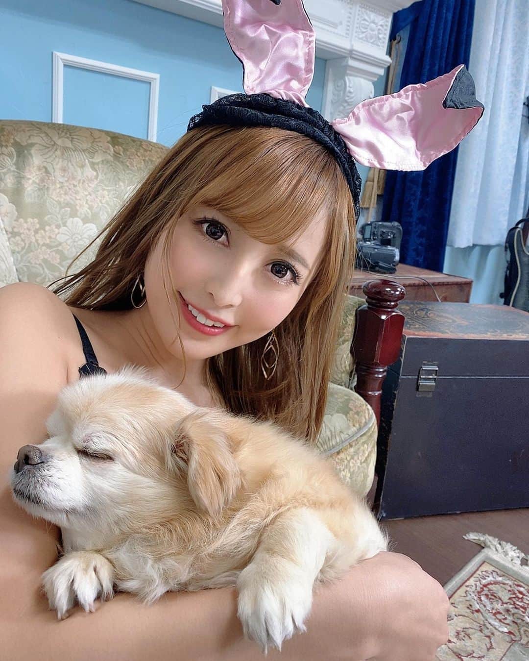 葵井えりかのインスタグラム：「可愛いすぎて忘れられない チワワのロコちゃん🐶 RQラボ撮影で会ったよ🎀 @masaguso  撮影の間中追いかけ回してた💗 RQラボも新作が出てるのでチェックしてくださいね💕💕 . #葵井えりか #ちわすたぐらむ  #rqラボ #犬好きな人と繋がりたい  #racequeen」
