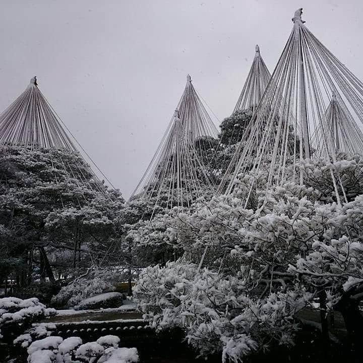 関陽樹のインスタグラム