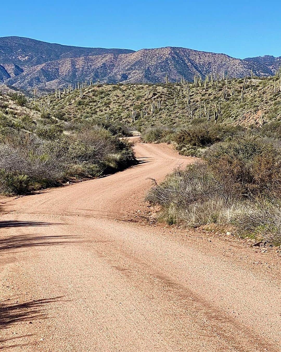 ケン・ブロックさんのインスタグラム写真 - (ケン・ブロックInstagram)「Very stoked to be back on a rally road! A test road, to be specific. A test road deep in Arizona, with lots of cactus on either side of it. It’s fast, AND fun. Yes, that means more rally content this year - which makes me happy. #iheartrally #testdaysarethebestdays」2月19日 1時06分 - kblock43