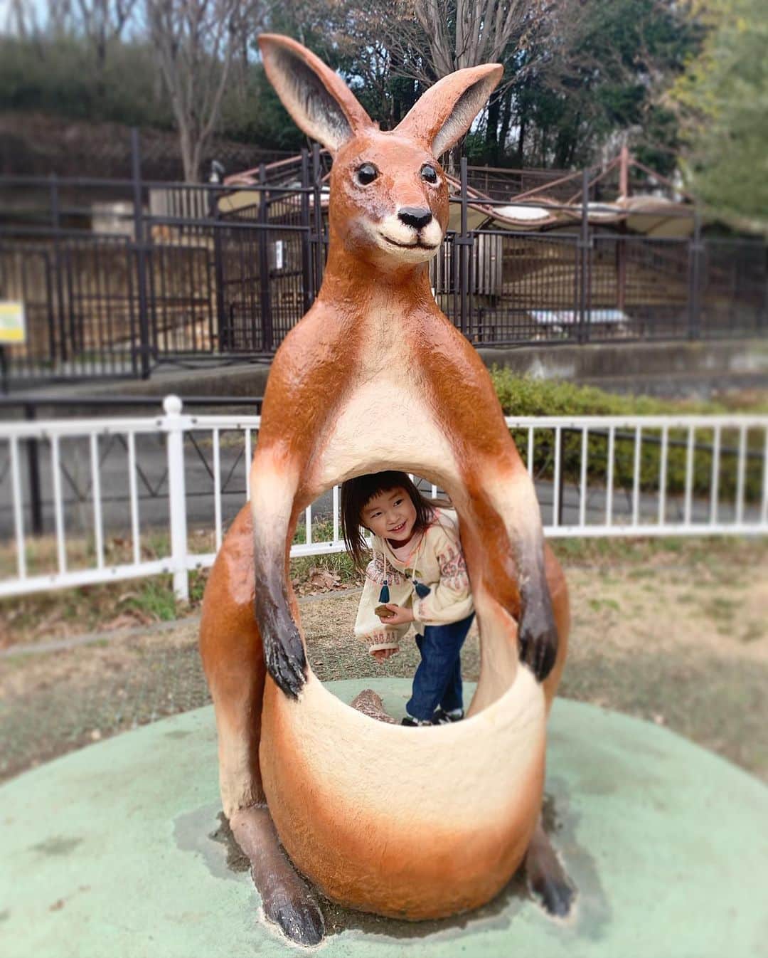 坂本美雨さんのインスタグラム写真 - (坂本美雨Instagram)「このひとたち、なんか似ている . #多摩動物公園 #今日のなまこちゃん」2月19日 1時03分 - miu_sakamoto