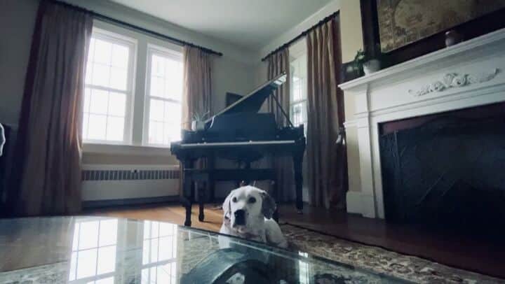 ヒンダーのインスタグラム：「A typical Tuesday - Mark serenading one of his dogs!」