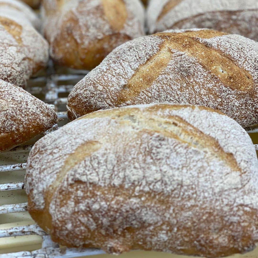 魔女菅原のグルメインスタ