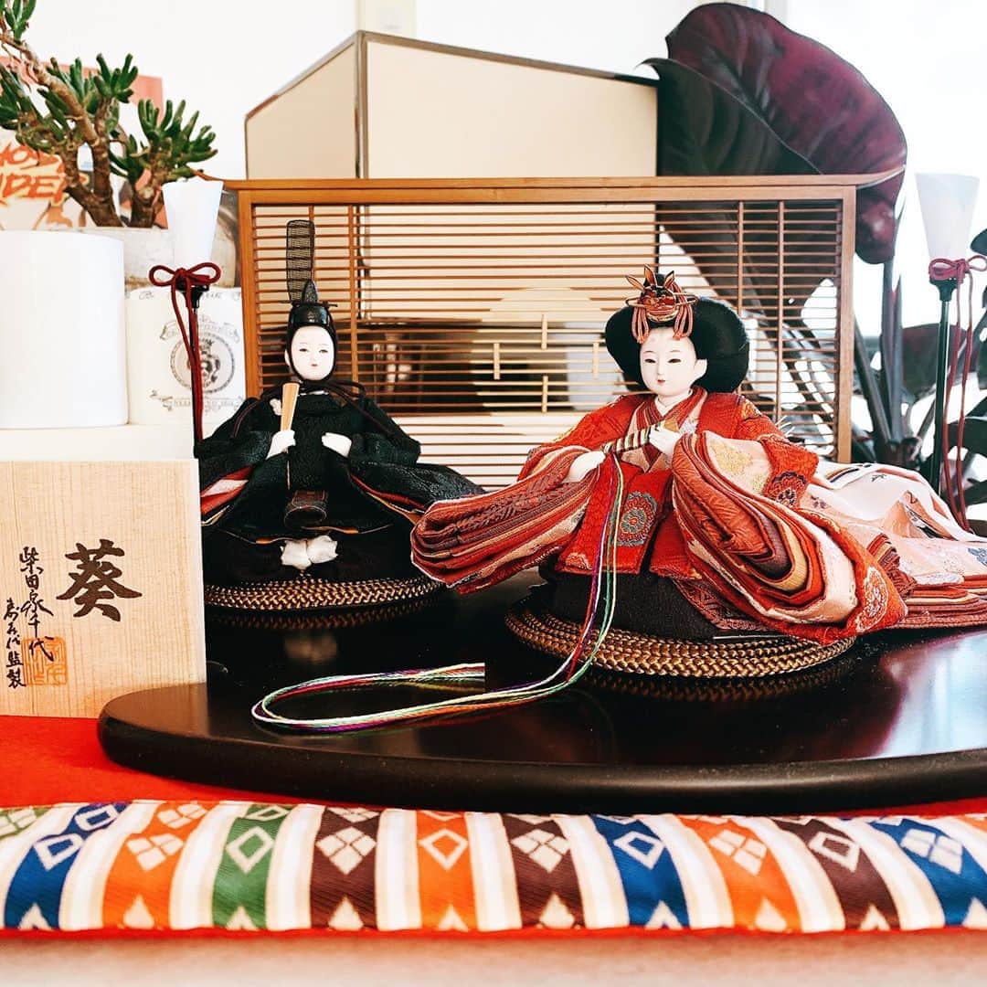 小濱なつきのインスタグラム：「我が家の雛人形🎎 柴田家千代さんの葵という作品。 綺麗なお着物と柔らかいお顔が好み。 これから長いお付き合いです🌸  #雛人形　#柴田家千代　#雛祭り」