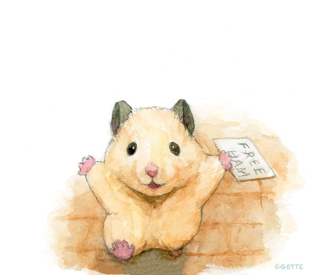 9GAGさんのインスタグラム写真 - (9GAGInstagram)「inthe mood of love by @gottehamham - #hammy #hamster #9gag #watercolor」2月19日 3時55分 - 9gag