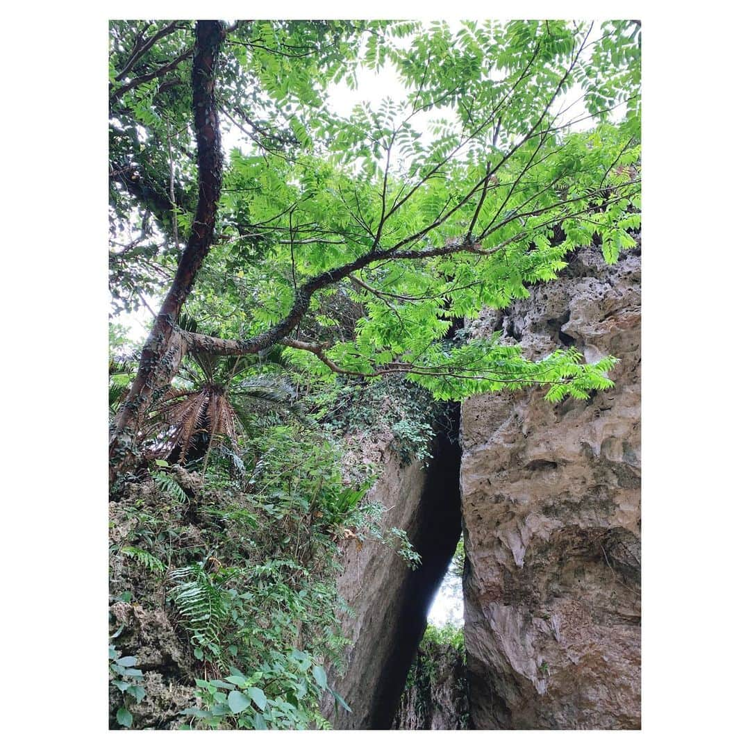 仲間リサさんのインスタグラム写真 - (仲間リサInstagram)「🌳🍃 今月はゆっくりな時間を過ごせてます. (体調崩して寝込んで治ってを繰り返してるからゆっくり感じるのか𓏲𓏲)  パワースポットや景色が綺麗な所ってほんと気持ちがリセットされていい🤍  Feels like the time stoped here. 少し早めおはようございます☀︎」2月19日 5時02分 - lisa_nakama_