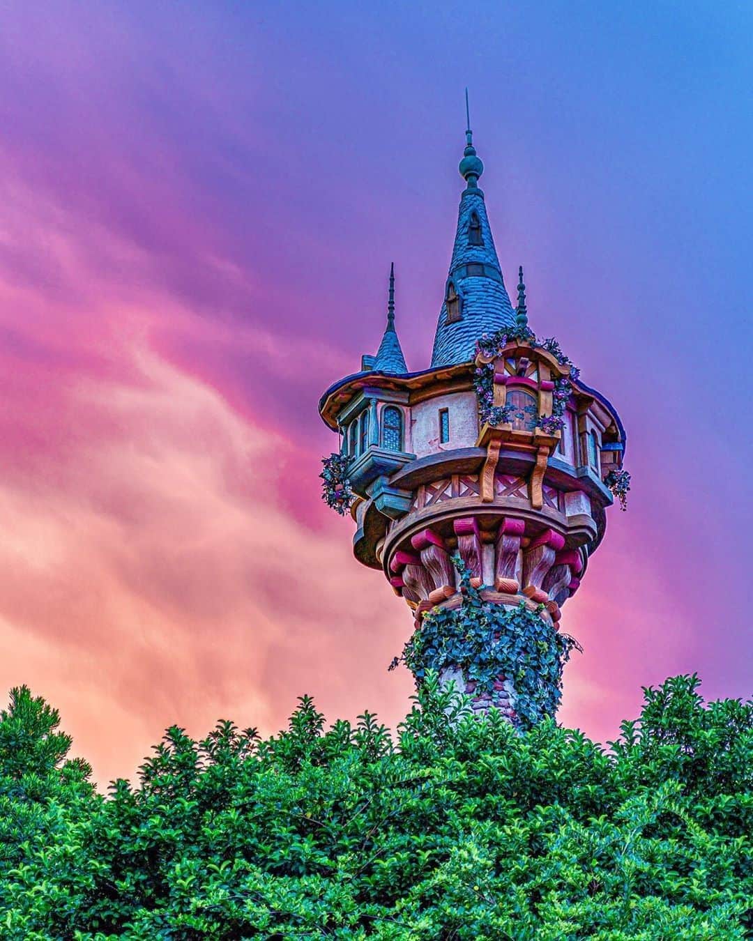 のインスタグラム：「I’ve got a dream! 🎶👸✨#TangledTuesday #WaltDisneyWorld (📷: @tterrell494)」
