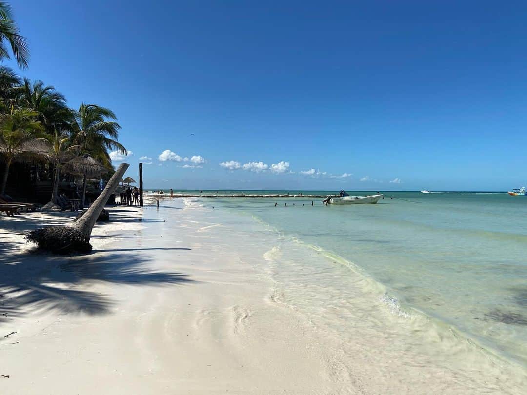 アリシア・デブナム・キャリーのインスタグラム：「One more because I’m at work and all my friends are still on vacation and I’m gonna pretend I’m seeing the flamingos and drinking margaritas」