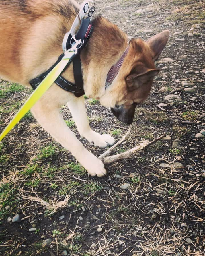 佐々木海のインスタグラム