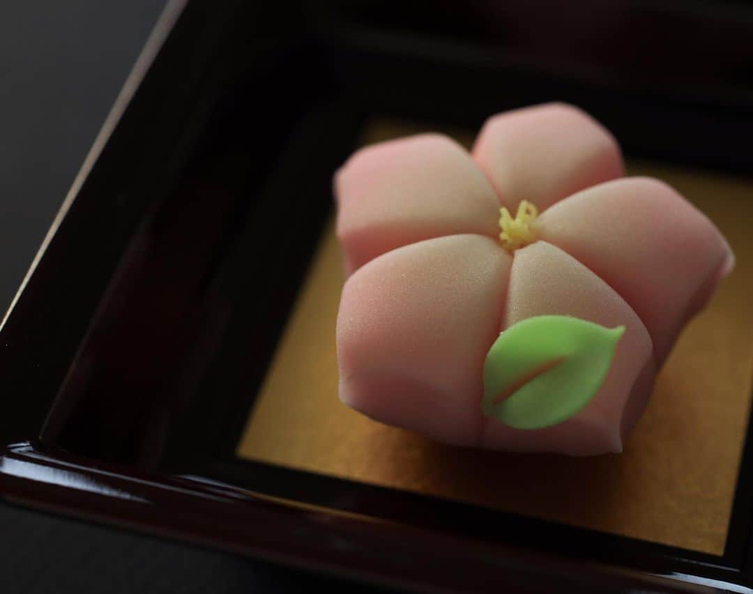 Toru Tsuchieのグルメインスタ