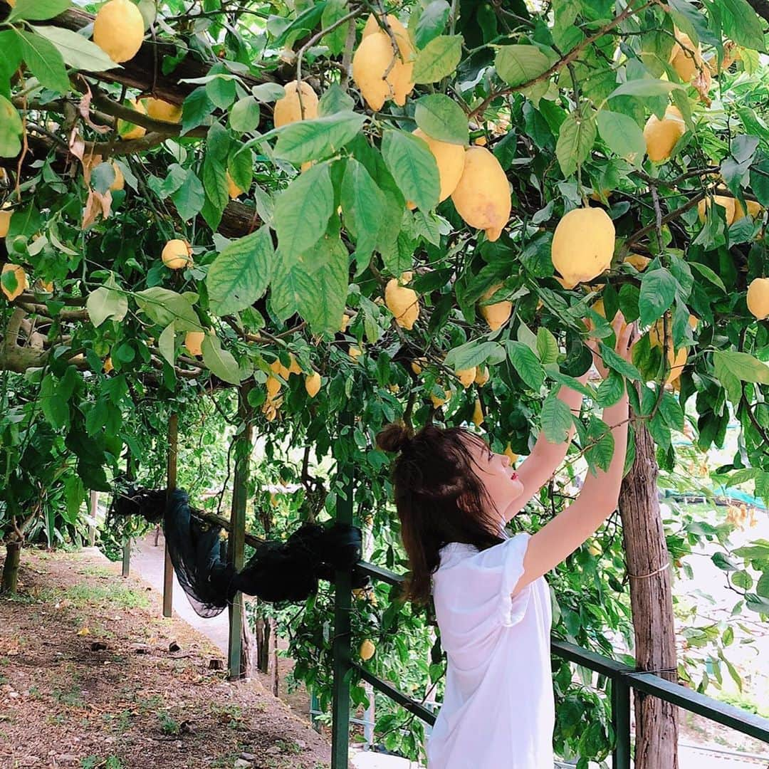 秋元真夏さんのインスタグラム写真 - (秋元真夏Instagram)「レモン畑での撮影もとても楽しくそうですね！ まなったんの笑顔が弾けていました🍋💕 公式Twitterでもオフショットを公開中！✨ 公式Twitter▶@manatsu_2nd  #秋元真夏2nd写真集 #まなったんの写真集を応援しよう #4月8日発売」2月19日 9時38分 - manatsu.akimoto_official