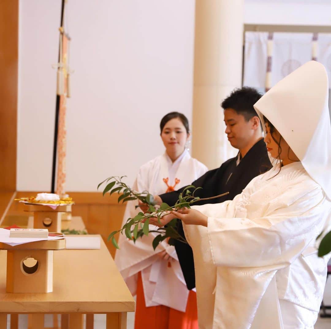 家族挙式さんのインスタグラム写真 - (家族挙式Instagram)「@kazoku_wedding をフォローして、 #家族挙式 でお写真を投稿してくださいね＊* . ------------------- 白無垢と綿帽子が憧れという 花嫁さまも多いのではないでしょうか* 一つ一つの儀式を 丁寧に行うおふたり。 格式高い神社で行う神前式を経て おふたりの絆も一層強く 結ばれますね＊  会場：#護国神社 #リーガロイヤルホテル広島 ------------------- . ❁テレビCM放映中 ▹▸ ”家族挙式ベスト”なら 【挙式・衣裳・美容・写真】が含まれたプランが99,000円〜叶います＊ ▽予約はTOPのリンクから❁ >>> @kazoku_wedding ------------------- #家族挙式 #ベストアニバーサリー #家族 #Family #家族婚  #bestanniversary #少人数婚 #ウェディング #結婚式準備 #結婚式 #フォトウェディング #プレ花嫁 #卒花 #日本中のプレ花嫁さんと繋がりたい #花嫁 #卒花嫁 #国内挙式  #weddingdress #ウェディングドレス #プラコレ #Dressy花嫁 #2020秋婚 #2020春婚 #2020夏婚  #セントアクアチャペル #白無垢 #神前式 #和装挙式」2月19日 10時06分 - kazoku_wedding