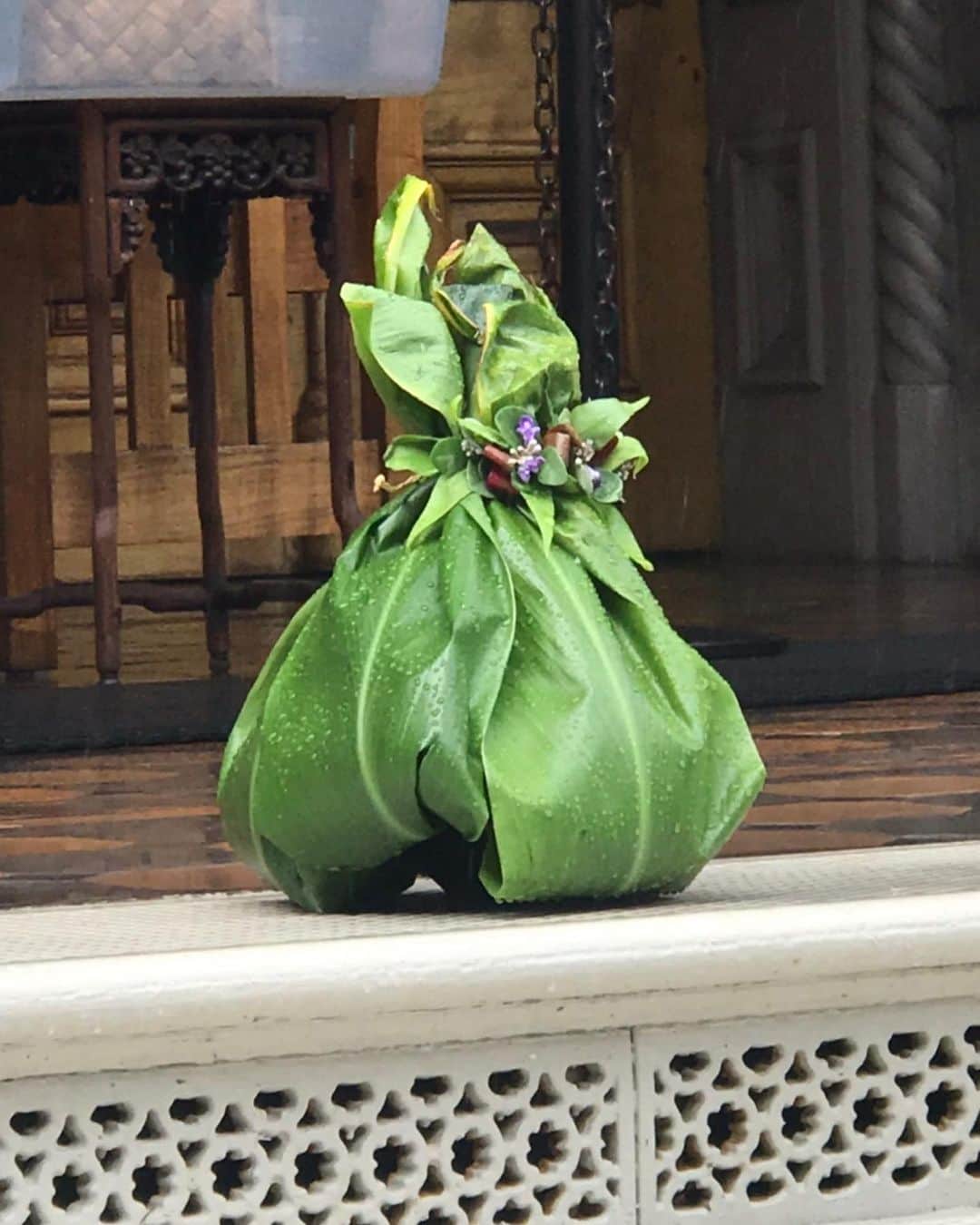 キャシー中島さんのインスタグラム写真 - (キャシー中島Instagram)「*﻿ スタッフと一緒に#イオラニ宮殿 に来ました。　﻿ 雨が降ったりやんだりでせっかくブローした髪が﻿ クリンクリンになっちゃいました👩‍🦱﻿ ﻿ 歴史の勉強に来たカメハメハスクールの子供たちがお供え物を葉で包んで持ってきていました。﻿ ハワイらしい贈り物ですね！﻿ カラカウア王が作り最後の王リリオカラニが幽閉されたイオラニ宮殿はとても美しい宮殿です。﻿ スタッフや講師に中に入っていろいろな勉強をしてもらいました。﻿ ﻿ パパはこの大きな木がとても気に入ったようです。﻿ 🌲﻿ キルトのデザインにもするこのシンボルマーク。﻿ とても美しいマークです﻿ ﻿ #キャシー 中島﻿ #キャシーマム﻿ #kathynakajima#kathymom﻿ #ハワイ#夫婦#夫婦旅﻿ #勝野パパ#﻿iolanipalace ﻿#hawaii」2月19日 10時34分 - official_kathynakajima