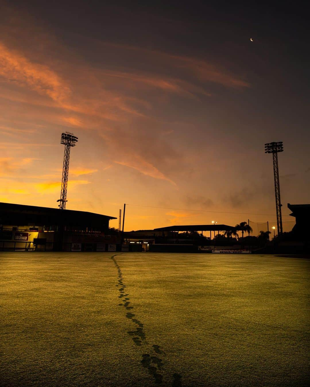 ダニエル・ノリスのインスタグラム：「Spring training is about 5am workouts followed by sunrise runs. It’s one of my favorite things about this game - everyday is a new opportunity to grow both physically & mentally... it’s just a matter of sacrifice & desire. I think of these training sessions as my “morning commute to greatness” just keep livin.」