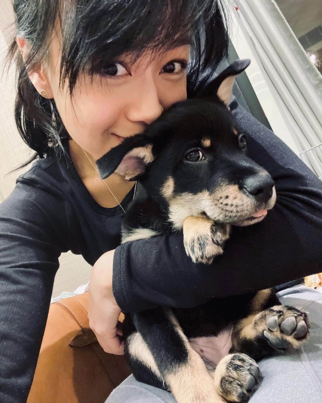 ジャクリーン・ウォンのインスタグラム：「My love bug is growing so fast. 🥺🐶🥰😘 #mixedbreedpurelove #唐狗也是寶 #adoptdontshop」