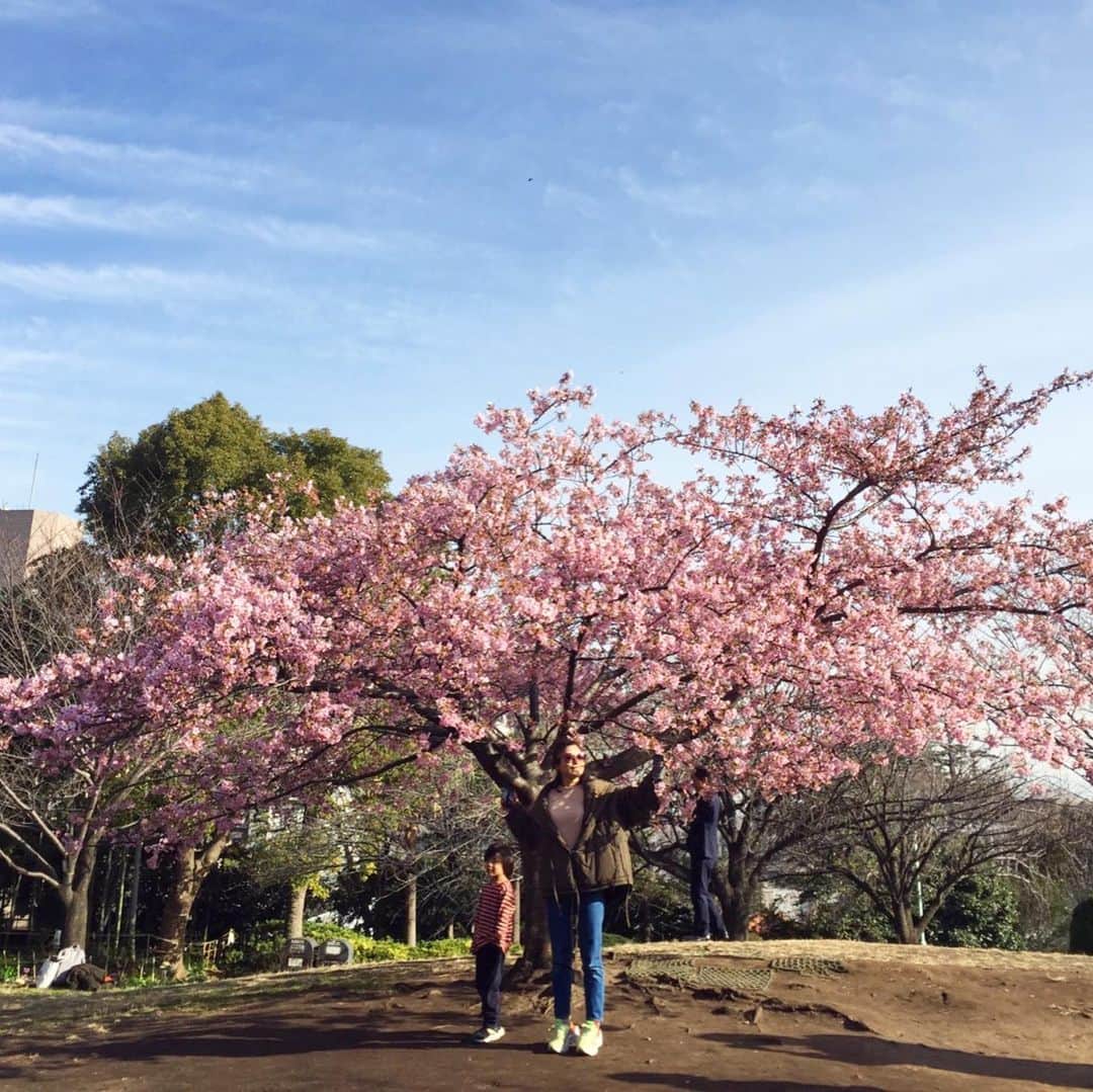 SAYUKIさんのインスタグラム写真 - (SAYUKIInstagram)「毎年恒例　@hfumie と西郷山公園の河津桜を観る会。　今年も無事に満開の桜の観賞が出来ました🌸 男子2人はお外が大好きなのでお天気が良く大喜び。ふみえ子供達も一緒に遊んでくれてありがとう😍  #西郷山公園 #河津桜　#桜　#cherryblossom #代官山　#新しいdeananddelucaいい　#良すぎて子供大はしゃぎし過ぎ　#仲良し兄弟　#お花見 #ボーネルンド　#deananddeluca」2月19日 22時11分 - sayukisvoice