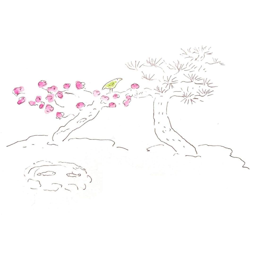 ハルペイさんのインスタグラム写真 - (ハルペイInstagram)「🌸🌸 梅にめじろがとまっていたよ。 . コロナウィルス、とまってぇ…🙏 楽しみにしてた予定、いろいろキャンセル😭😭😭😭😭😭 花粉がひどいのに、わが家のマスクの在庫が不安だよ💦 . みなさまもどうかお気をつけて😌🙏 . #梅#メジロ  #harupei#ハルペイ#doodle#draw#drawing#illustrator#illustration#japan#絵#雑貨#湘南#イラスト#イラストレーター#ゆるい#茅ヶ崎」2月19日 21時02分 - harupeipei