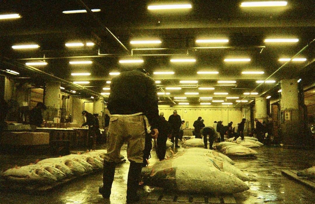 東京DANDYさんのインスタグラム写真 - (東京DANDYInstagram)「The old Tsukiji fish market, back when after a night out at a club, you were relatively free to walk amongst the action. Giant torpedo-like tuna auctioned under yellow neon strip lights at 5 am.  Photo from my book DISPOSABLES available now at DOVER STREET MARKET GINZA, AOYAMA BOOK CENTER, HMV&BOOKS SHIBUYA, DAIKANYAMA T-SITE, GINZA T-SITE, KYOTO OKAZAKI T-SITE, TSUTAYA ELECTRICS, TSUTAYA TOKYO ROPPONGI, and online at SHASHASHA & TWELVEBOOKS ONLINE. (Working on EUROPE and US distribution and more soon)  #PhotoBook #DisposablesBook #Japan #ArtBook #DisposableCamera #35mm #祭り #使い捨てカメラ #Tuna #FishMarket #Tokyo #Tsukiji #築地市場 #ツナ #マグロ」2月19日 21時05分 - tokyodandy