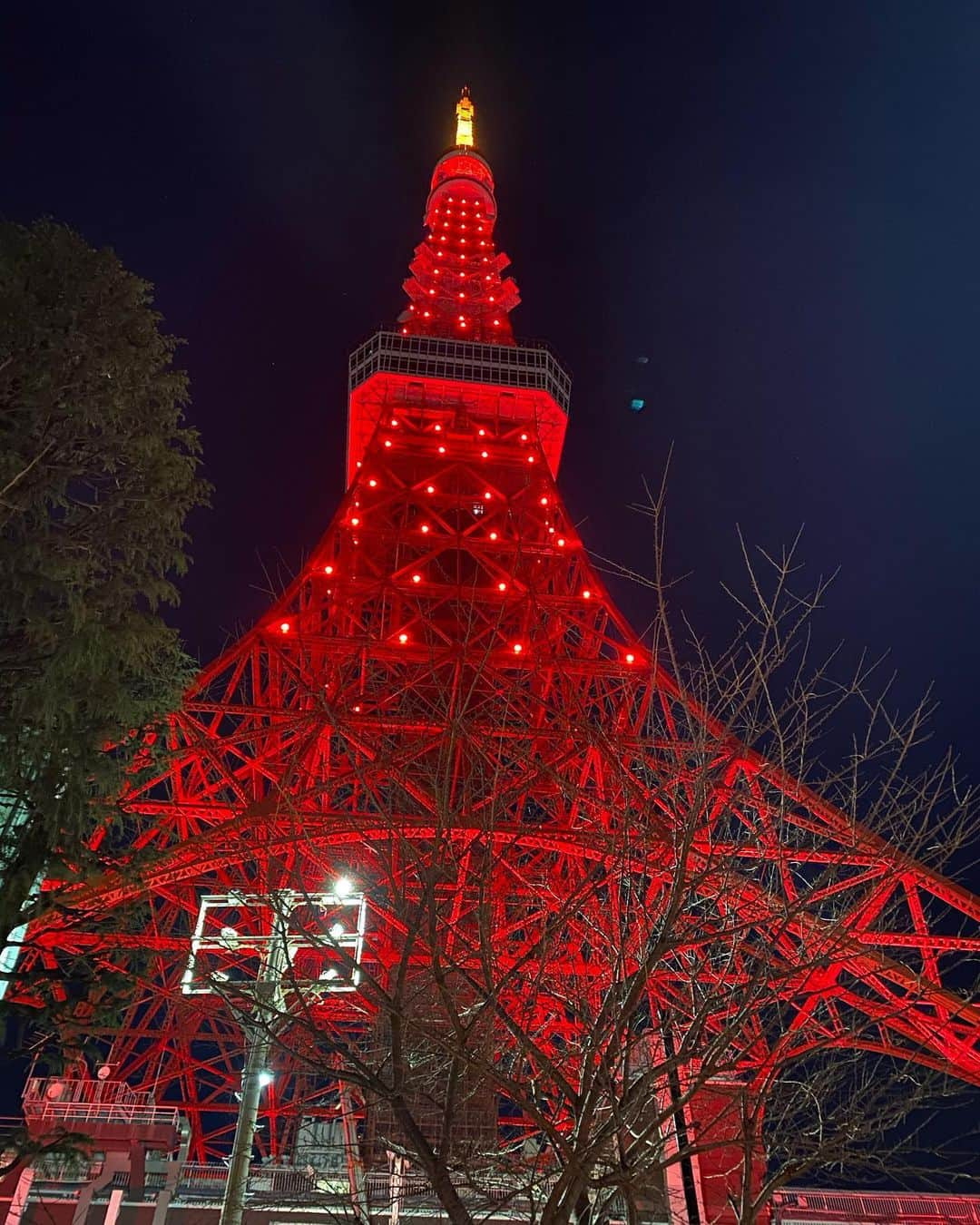 宇佐卓真さんのインスタグラム写真 - (宇佐卓真Instagram)「久しぶりの東京タワー。色違う気がする」2月19日 13時32分 - usa_takuma