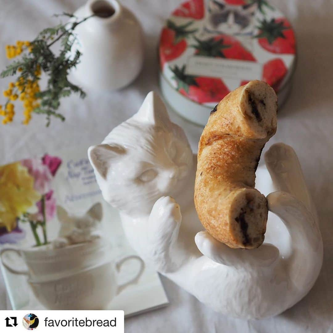 Cat's NapTimeのインスタグラム：「#Repost @favoritebread with @get_repost  @afternoontea_official  @catsnaptime  ｻﾝの冊子に私がpostした写真が.....😭😭載ってて嬉しかったと自慢と🙈 美味しかったベーグルと . 今［アフタヌーンティーリビング］さんの店頭にこのリーフレットがあるので、良かったらチラ見してください👀 . こんな可愛い猫の花器や マグカップにパンを乗せるのは 私ぐらいかな😹 すみません🙏 でもそれだけ可愛くて オールマイティに使えると言うことです😁👍 . 猫がベーグルを抱えて遊んでる... 可愛い...❤︎ . この花器は即完売されたものなんですけど 今月末に再販されるそうです その他にも又可愛いニャングッズが販売されるのでかなり楽しみ𓂃𓂃𓃠 ⚛︎ #オーバッシュ#obashcrust #徳島パン屋 #徳島パン屋さん #キャラメルマキアートベーグル #ベーグル #bagel #アフタヌーンティーリビング #catsnaptime #cats_naptime #cats_naptime5 #猫雑貨 #猫とパンが好き #猫の花器 #afternoontealiving」