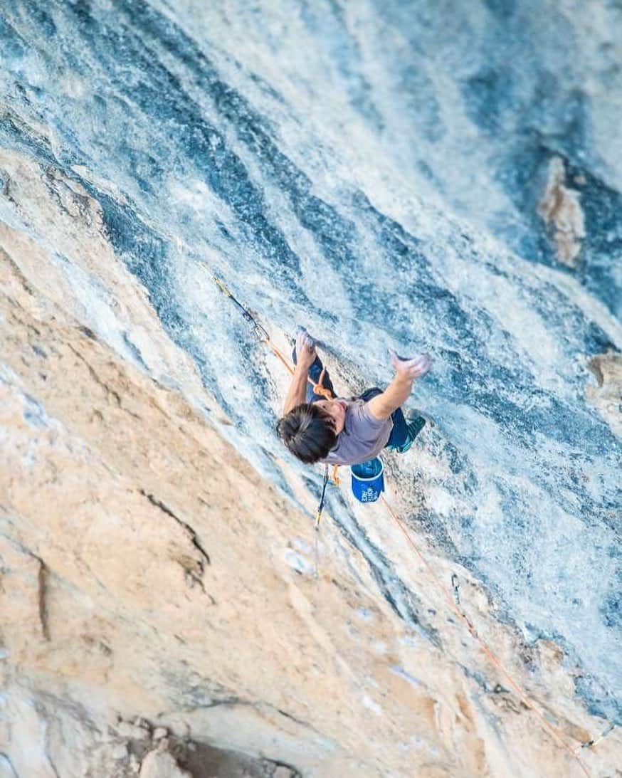 THE NORTH FACE JAPANのインスタグラム