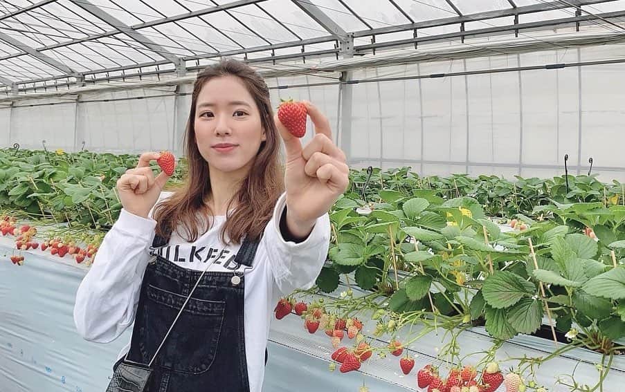 のインスタグラム：「🍓」