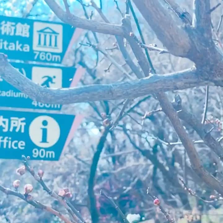 サイモンとマルティナのインスタグラム：「#buildaladder Writing Prompt Challenge!!! Watch this little video and listen to the music 🧐 If this was a trailer for an upcoming TV show or anime or movie, it would be about... ✍🏼」