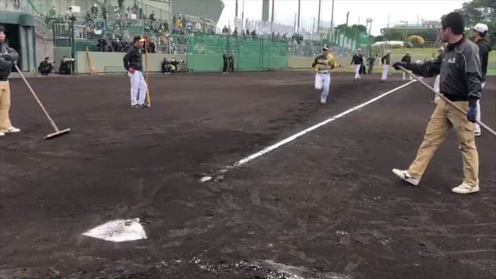 阪神タイガースのインスタグラム