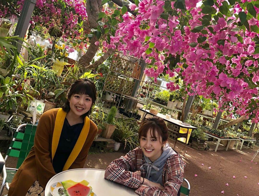 中川実咲のインスタグラム：「. ふるさと紀行ロケ② ✴︎ゆる旅のススメ✴︎ 放送はBS-TBS3月28日10時〜 KUTV3月29日13時〜です！ 女子旅2日目は 西島園芸団地さんと ヴィラサントリーニさんに お世話になりました♡」