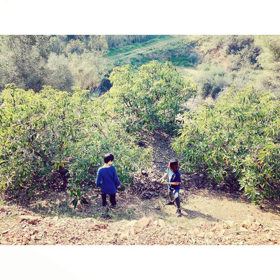 紗栄子さんのインスタグラム写真 - (紗栄子Instagram)「アボカドハンティング!!🥑💓🙏✨🌈 長男も、久しぶりの親友との再会にテンション高めです✨✨ #spain🇪🇸 #avocado」2月19日 16時57分 - saekoofficial