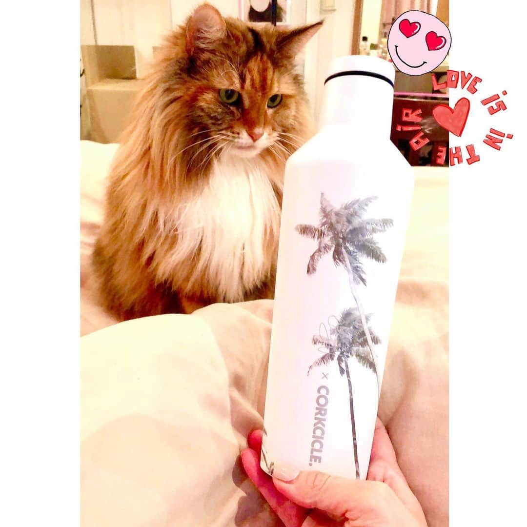 脊山麻理子のインスタグラム