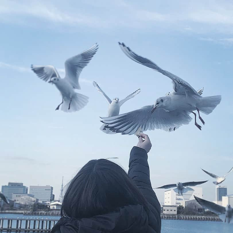 宮川愛李（妹子）のインスタグラム：「＼ｳｷｰ!／って鳴く鳥だった ヤバ」