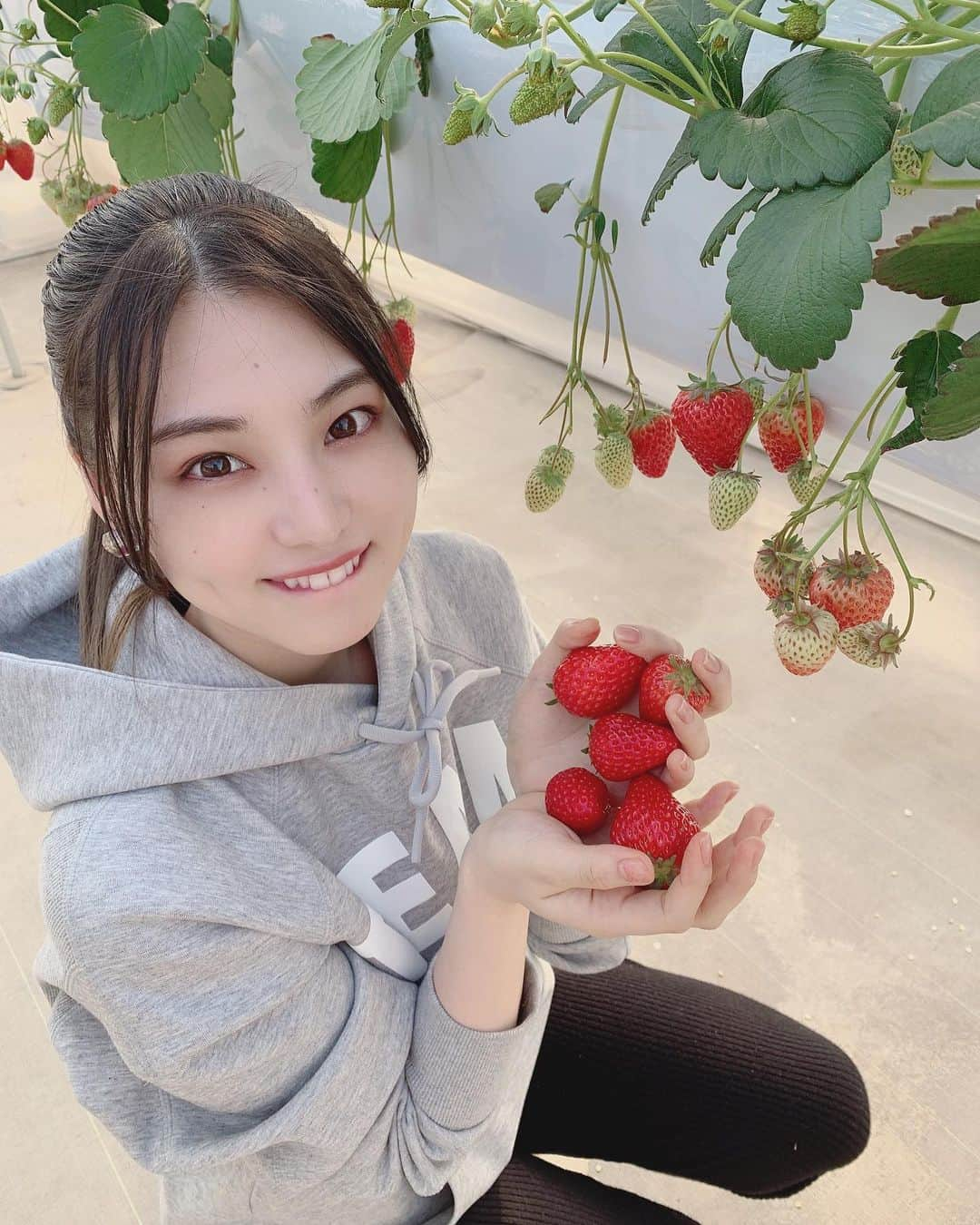 相楽伊織さんのインスタグラム写真 - (相楽伊織Instagram)「🍓💕 いちご狩り行った☺︎ 好きな品種は「さがほのか」でした．#🍓」2月19日 17時52分 - _iorisagara264_