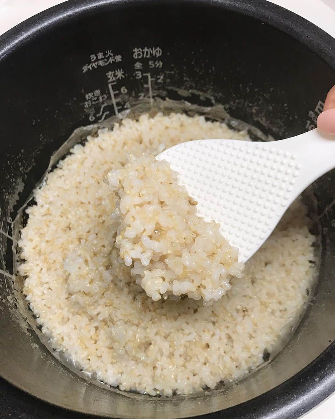 mahoさんのインスタグラム写真 - (mahoInstagram)「(*´꒳`*)🌸横にスワイプしてね👉 。 先日は… 市場のなかなか出回らなくなった、知る人ぞ知る 希少品種#ササシグレ　を使って… 。 。 大好きな#カレー　🍛を❤️ 。 。 #ササシグレ  Natural Rice Field 郷彩　@satoiro.jp  #玄米　そのまま食べても美味しいけど… 。 。 #カレー　と一緒に食べても 更に美味しい(*´꒳`*)❤️ 。 。 食べれるって幸せ🌸 。 。 #ササシグレ　は肥料、除草剤、農薬など地球と人体に悪影響なものを一切使わない#自然栽培 で コシヒカリやつや姫などの現代の改良された品種と異なり、原種に近いのでアレルギーが出にくいお米なの❤️ 。 。 環境にも優しいお米🌾 。 。 。 。 。 ストーリーにもURL載せるけど…詳しくは郷彩で 検索してね(　≖´౪≖｀) 。 。 。 。 。 。 。 。 #ササシグレ#PR #fashion#shooting#fashionmodel  #ootd#料理#クッキングラム#diet#カフェ巡り#寿司#美味しい#肉 #トレーニング#gym#格闘技#workout#パーソナルトレーニング #ダイエット #美容#アディクシーカラー#食べ歩き#痩身 #東京#山梨#梅田#三宮」2月19日 17時56分 - i.0ff1cia1._.m.ah.0