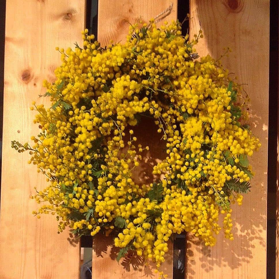 TODAY'S SPECIALのグルメインスタ