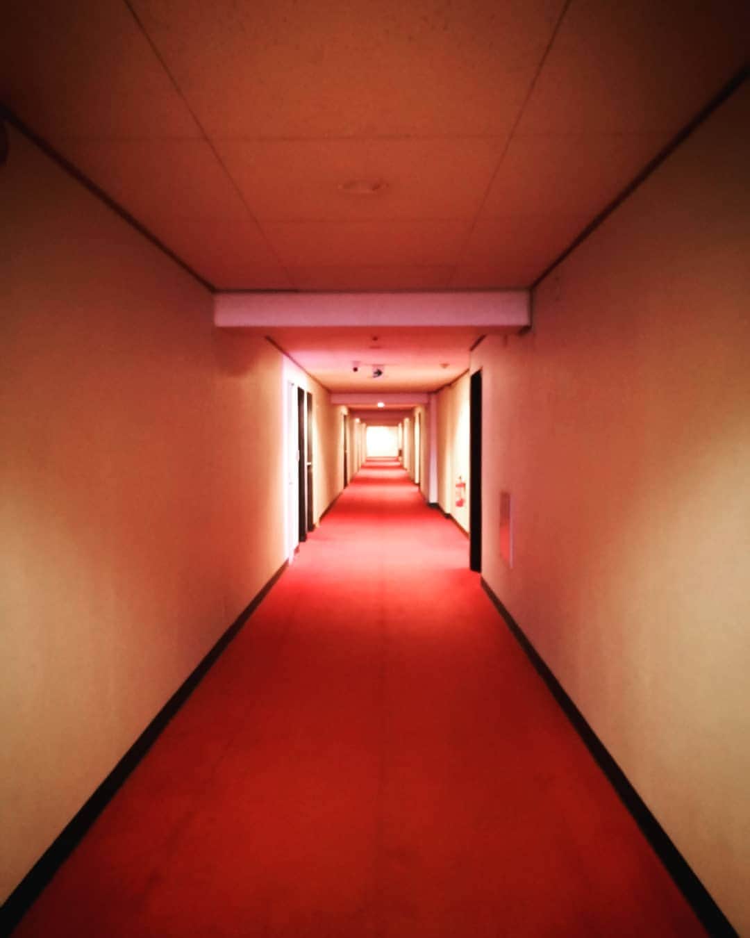 大塚咲さんのインスタグラム写真 - (大塚咲Instagram)「穴。」2月19日 18時26分 - otsukasaki_