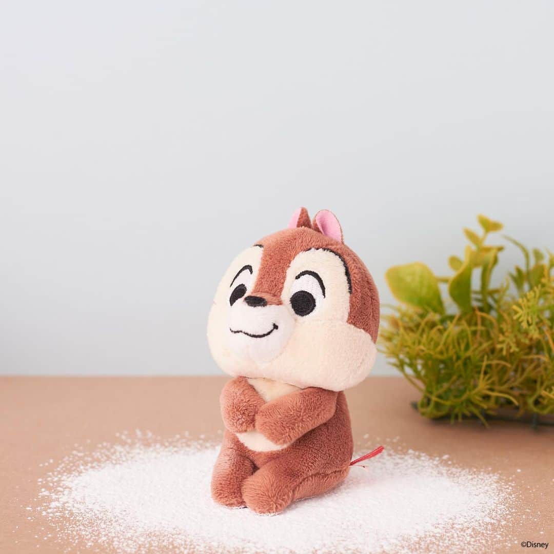 ちょっこりさん【公式】のインスタグラム：「#20200219 * 今年は雪が少ないけれど・・・ チップの所にだけ雪！？ ・・・と思ったら犯人は デールでした～♡ * #ちょっこりさん #ディズニー#ディズニーグッズ #ぬい撮り#ぬいぐるみ #chokkorisan#disney #takaratomyarts #ぬいぐるみと撮り隊 #disney写真部 #ディズニーグッズ #ちょっこりさん好きな人とつながりたい  #チップ #デール」