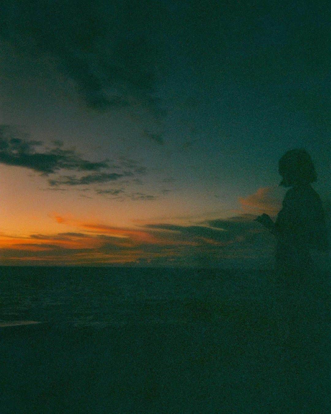 きなりのインスタグラム：「わたしが適当に撮り貯めてる写真とわたしの適当な感想文を書き溜めているtumblrです🌱 書きたいと思わないと更新しない趣味的なものなのですが、最近は書く欲がもりもりなので定期的に更新しています あまり本気にせずサラッと見ていただける方限定です🤣 TOPのハイライトにもまとめてるのでそちらからでも見られます  http://kiiiina04.tumblr.com/」