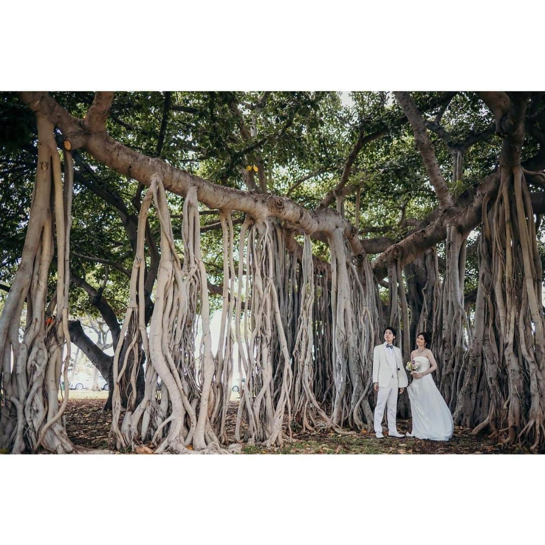 ハワイフォトウェディングのCheers Weddingさんのインスタグラム写真 - (ハワイフォトウェディングのCheers WeddingInstagram)「* . 🌴2月撮影限定！直前割キャンペーン🌴 2月撮影もまだ間に合います♡ 合計$90もお得になるキャンペーン！ぜひお見逃しなく☺︎ . ①通常ビーチ撮影プラン$40オフ ②ブーケ選び放題($50相当)プレゼント ③撮影データ10カット追加プレゼント . ※新規お申込み時限定特典です。 ※キャンペーンご利用の場合は必ずお申込み時にお伝え下さい。  お申込み後の適応は出来かねます。 ※他キャンペーンとの併用不可。 . . ◆ハワイでのフルオーダーウェディングはこちら♪ @cheers_wedding * ◆ハワイでの手軽&web申込のCUTEなウェディングはこちら♪ @cheers_lilii * #チアーズウェディング #チアーズウエディング #ハワイウェディング #ハワイウエディング #フォトウェディング #リゾートウェディング　 #フォトツアー #ハワイ旅行 #ハワイ挙式 #ハワイ婚 #cheerswedding #hawaiiwedding #日本中のプレ花嫁さんと繋がりたい #ウェディングニュース #プレ花嫁　 #卒花嫁 #前撮り　 #後撮り #ハワイ前撮り  #ハワイ後撮り #2020春婚  #2020夏婚  #結婚準備 #ハワイフォトツアー #ウエディングフォト #フォトウェディング #ハワイハネムーン #ハネムーンフォト #バニヤンツリー」2月19日 19時48分 - cheers_photowedding