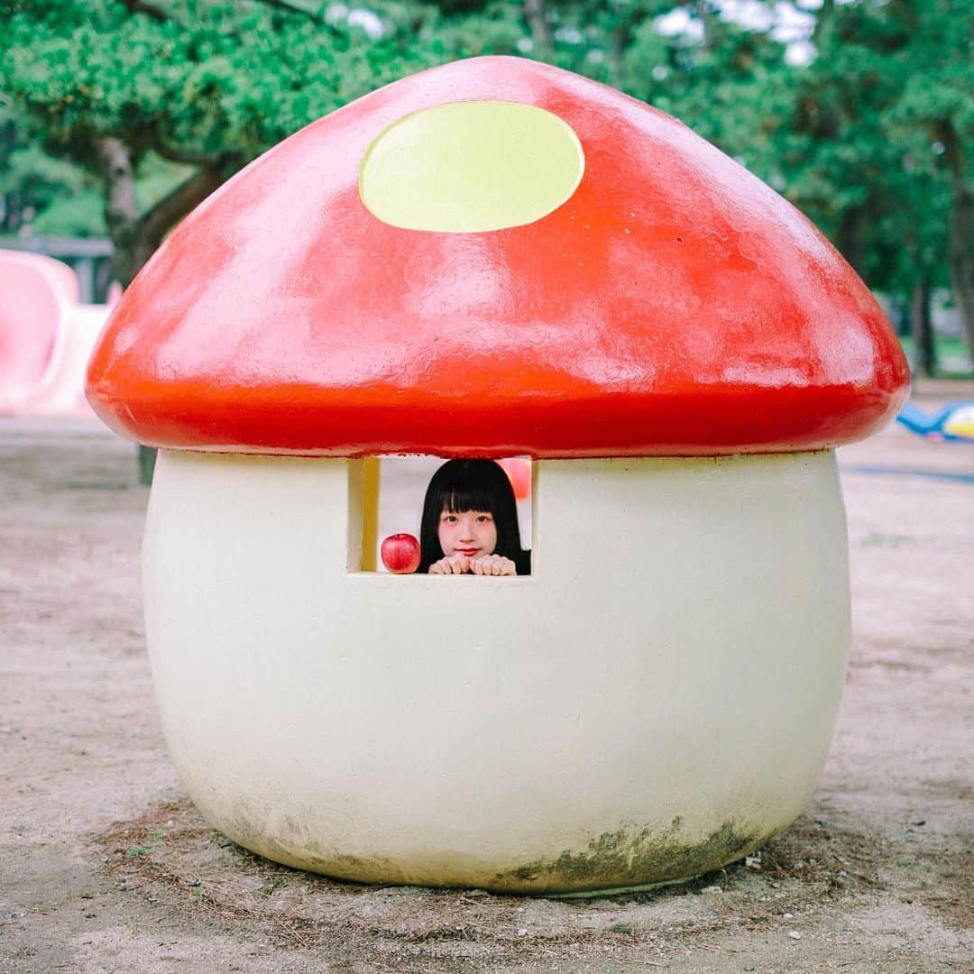 hiderin777のインスタグラム：「. 🍄 🍄 🍄 🍄 きのこも好きなりんごさん 🍄 🍄 🍄 🍄 shot by @ringostar.desu」