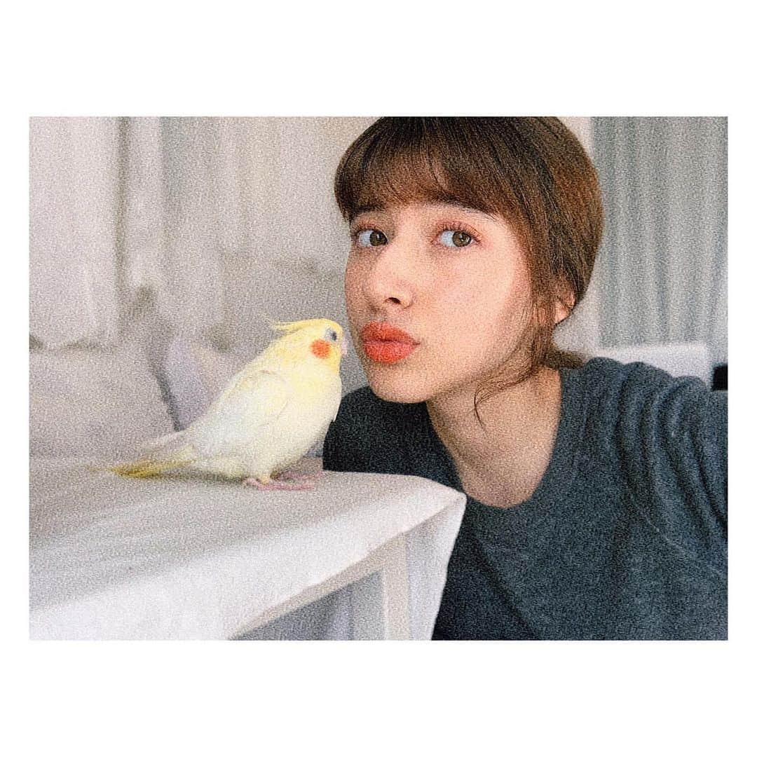 のインスタグラム：「Ｅｖｅｒｙｔｈｉｎｇ  ｓｔａｒｔｓ  ｆｒｏｍ  ｔｈｅ  ＨＥＡＲＴ 🤍 ⠀⠀ 誰かに健康の素晴らしさを伝えるには、まずは自分が自分をケアできてないといけない。 ⠀⠀ 誰かにHappyを届けるには、 まずは自分がそのバイブレーションを生きてないといけない。 ⠀⠀ 誰かに愛を感じてもらうには、 まずは自分自身を愛することを知らないといけない。 ⠀⠀ 誰かにお金をシェアしたければ、 まずは自分が生活にも心にも余裕がないといけない。 ⠀⠀ 世界は、 1人の人のハート→言葉→行動→在り方、の全てがつながって始まる🌎🕊 ・ #今日スーパーを歩いてる時に降りてきた言葉たち」