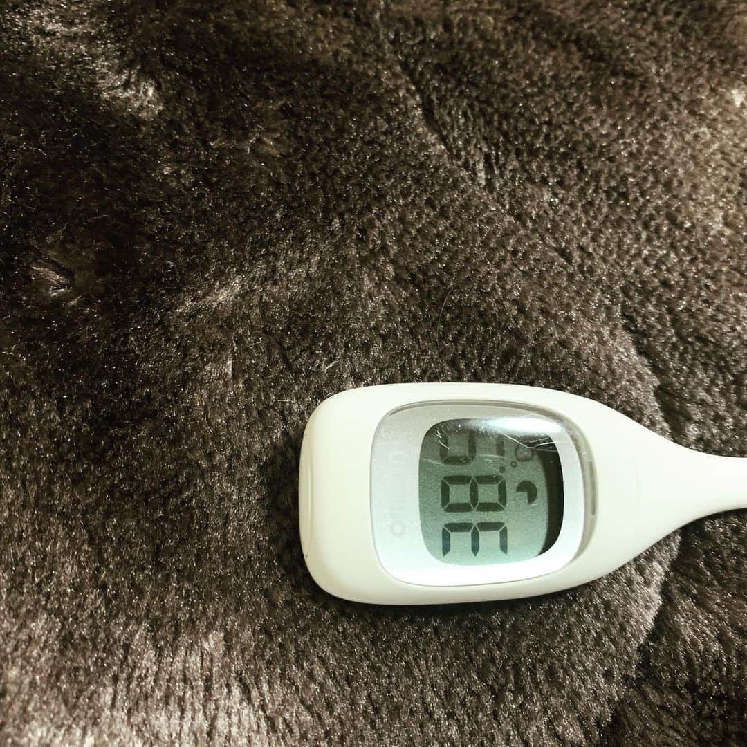 柏崎桃子さんのインスタグラム写真 - (柏崎桃子Instagram)「日曜日、ボランティアに行き たーくさんお馬さんと触れ合って来ました😊 めちゃくちゃかわいい！ アスリートさん達とたくさん歩いてお餅をいただいてきました。おいしかった✨  久しぶりに作り置きをして、最近忙しいからここで家事を楽にしよう！と意気込みましたが  熱だしましたー。  はよ回復させんと。」2月19日 20時07分 - momoko_kashiwazaki