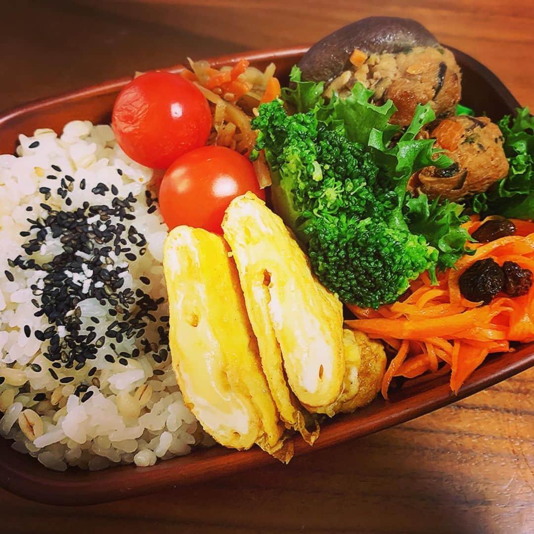 柏崎桃子さんのインスタグラム写真 - (柏崎桃子Instagram)「日曜日、ボランティアに行き たーくさんお馬さんと触れ合って来ました😊 めちゃくちゃかわいい！ アスリートさん達とたくさん歩いてお餅をいただいてきました。おいしかった✨  久しぶりに作り置きをして、最近忙しいからここで家事を楽にしよう！と意気込みましたが  熱だしましたー。  はよ回復させんと。」2月19日 20時07分 - momoko_kashiwazaki