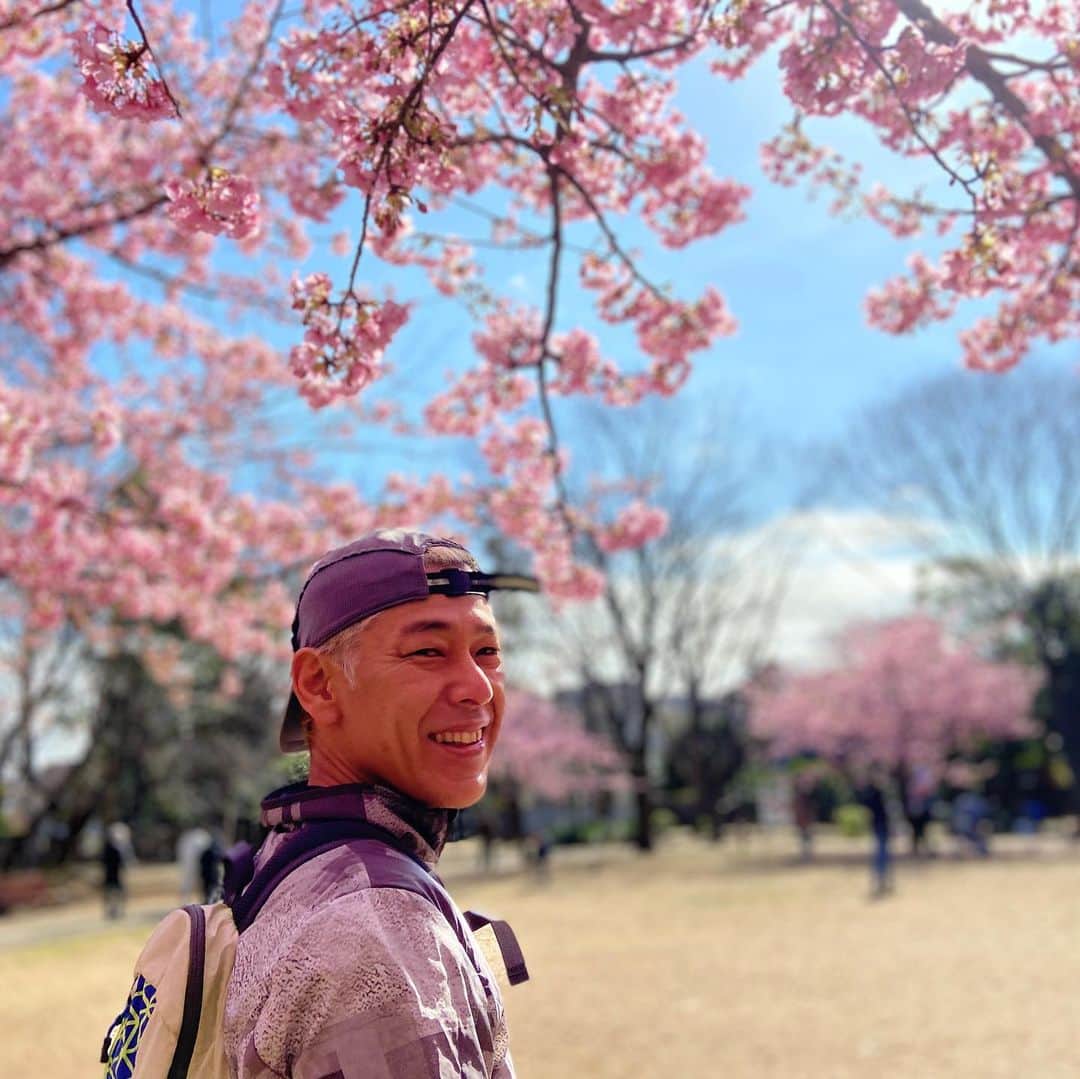 田村亮のインスタグラム：「河津桜。 静岡の河津町が発祥の地なのよ。恐らく、多分。 東京でも綺麗に咲いております。 撮影は学級閉鎖中の次男。  #ロンドンブーツ #ロンブー 亮 #ランニング #犬ラン」