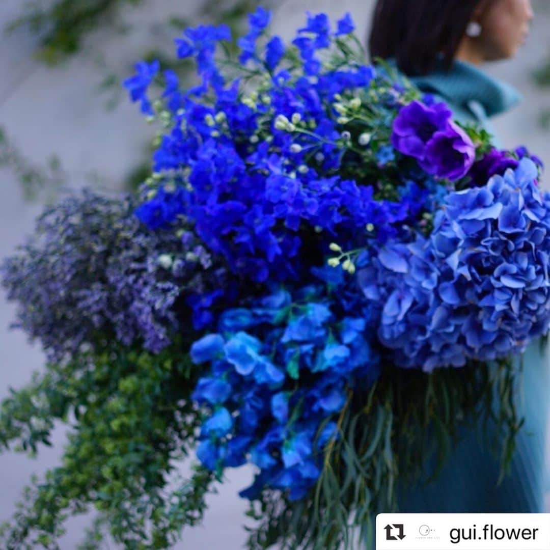 前田有紀さんのインスタグラム写真 - (前田有紀Instagram)「明日は東京ドームで開催されている世界らん展でステージに立ちます。guiのアトリエは、準備のための青いお花でいっぱいになりました。「青い花のダンスストーリー」ぜひ見にいらして下さい！ . . #Repost @gui.flower with @make_repost ・・・ 【ついに明日！！青い花のダンスストーリー】 . 今日は、明日の「青い花」のダンスストーリーのステージに向けて、青い花をメインにたくさんのお花を仕入れてきました！ . 明日のステージへの期待を膨らませながら、スタッフ皆での最終準備。@gui.flower のお花と @mjc_dance_company のダンサーの皆様が作り出す非日常の幻想的な空間、どんな風に仕上がるのか今からとても楽しみです！ . 東京ドームの広いステージ上で、青い花がダンサーの皆さまと共に華麗に舞う様子を、是非多くの方に見て頂けると嬉しいです。 . それでは、お楽しみに！ . . ３０周年を迎えるらん展の今回のコンセプトは「満開」。 会場内には３０周年記念の特別展示や、世界、全国各地から約２００店が集まるボタニカルマーケット、多肉植物の展示など、花と緑で彩られた空間も楽しんで頂けます。 . らん展２０２０－花と緑の祭典－　 開催期間：２０２０年２月１４日－２月２１日 開催場所：東京ドーム . 《gui参加ステージ》 ２月２０日（木）らん展２０２０－花と緑の祭典ー １７：５５－１８：０５　ライトダウンセレモニー　 ゲスト出演:前田有紀 １９：１５－１９：４５　「青い花」のダンスストーリー . #世界らん展2020#世界らん展#青い花#花#ボタニカル#多肉植物#gui#guiflower#フラワーデザイン#フラワー#デザイン#blue#flower」2月19日 20時18分 - yukimaeda0117