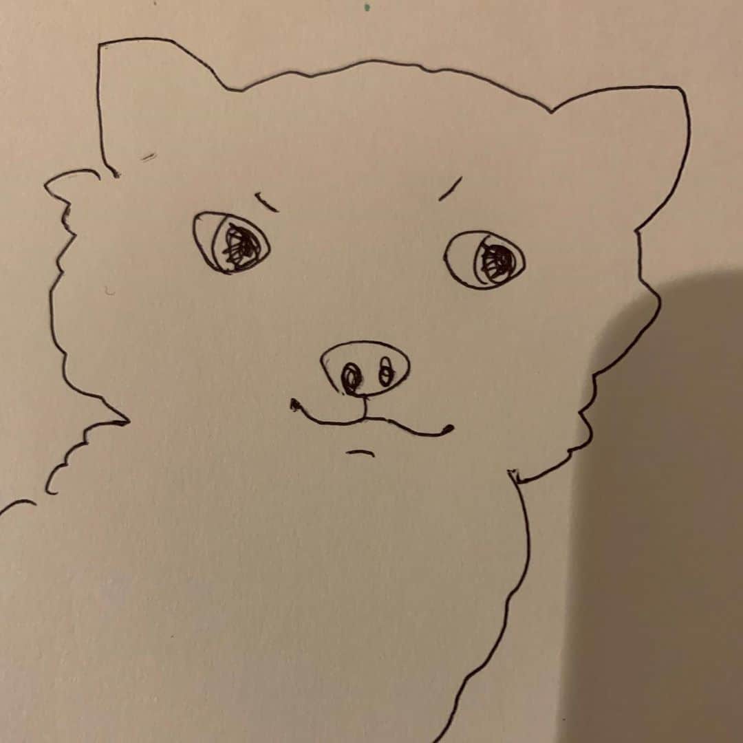 石田ゆり子さんのインスタグラム写真 - (石田ゆり子Instagram)「友人がとんでもなくかわいい仔犬と暮らし始めた。 原稿を書く合間に 絵を描いた。 わたしの頭の中身が 透けて見えますか。 #ゆりごろうの絵」2月20日 6時27分 - yuriyuri1003