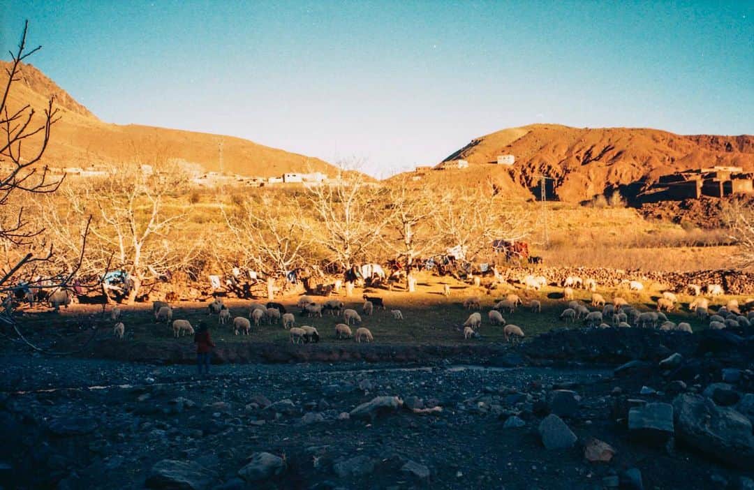 柏田テツヲさんのインスタグラム写真 - (柏田テツヲInstagram)「My documentary in Morocco  #35mm  #film #roadtrip  #portrait  #analog  #filmphotography #35mmfilm  #travel #documentary  #leica  #leicaphotography  #旅 #旅写真」2月20日 7時24分 - tetsuokashiwada
