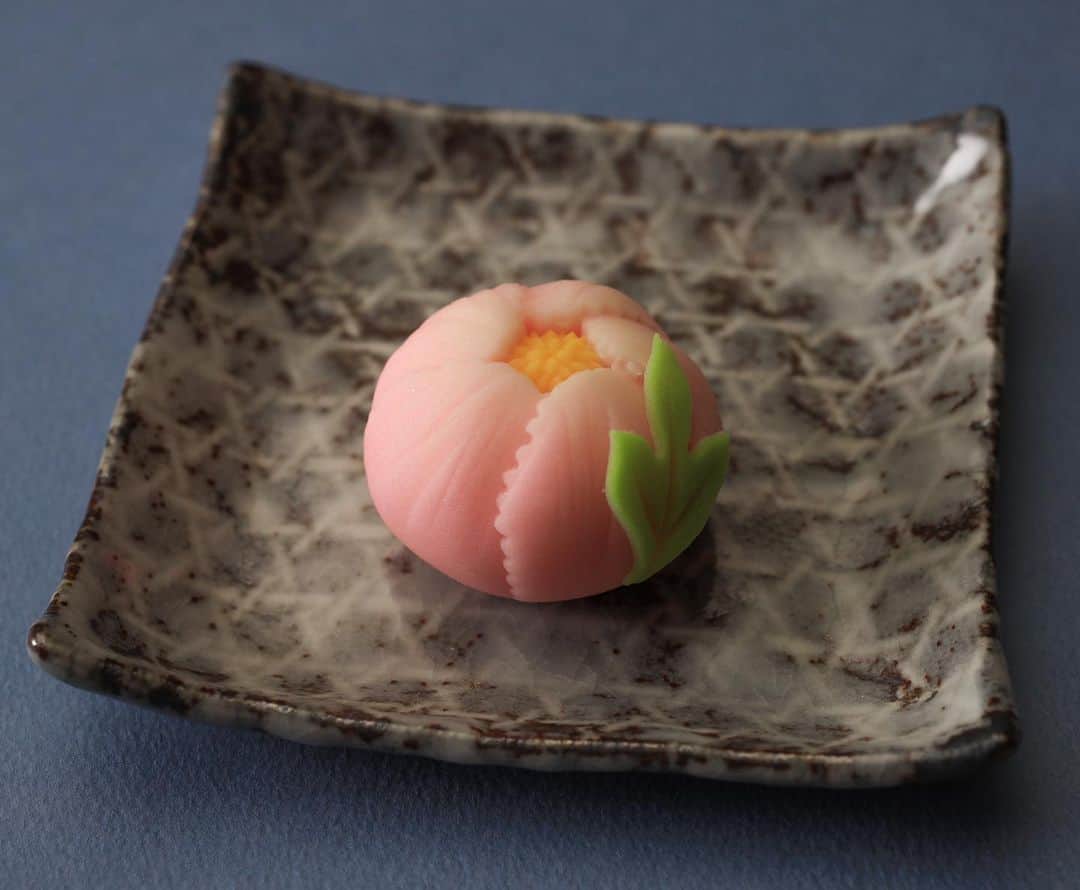 Toru Tsuchieのグルメインスタ