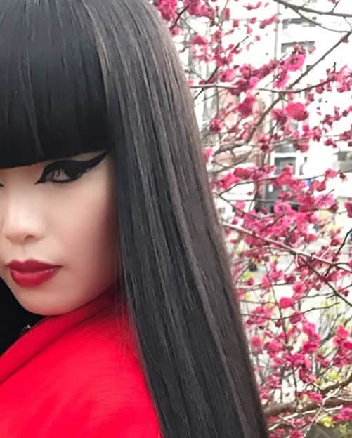 森山穂乃香のインスタグラム：「梅が咲く季節よ🇯🇵」